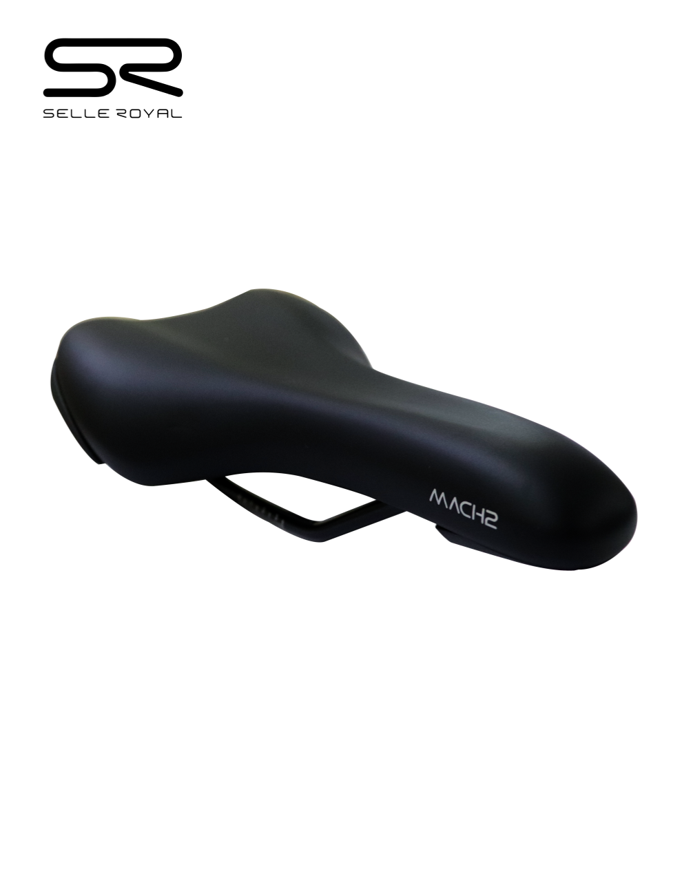 Untitled design (1).png